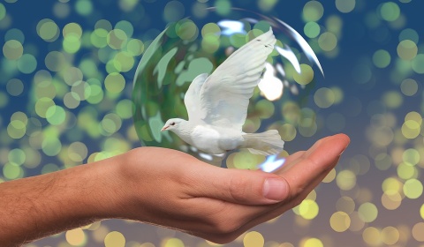 Día Internacional de la Paz: Recuperarse mejor para crear un mundo más equitativo y sostenible